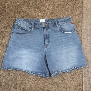 Ripton Women’s Denim Shorts / Jorts